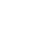 Instagram icon white
