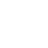 Whoppah icon white
