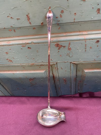 Verzilverde Saus Of Juslepel